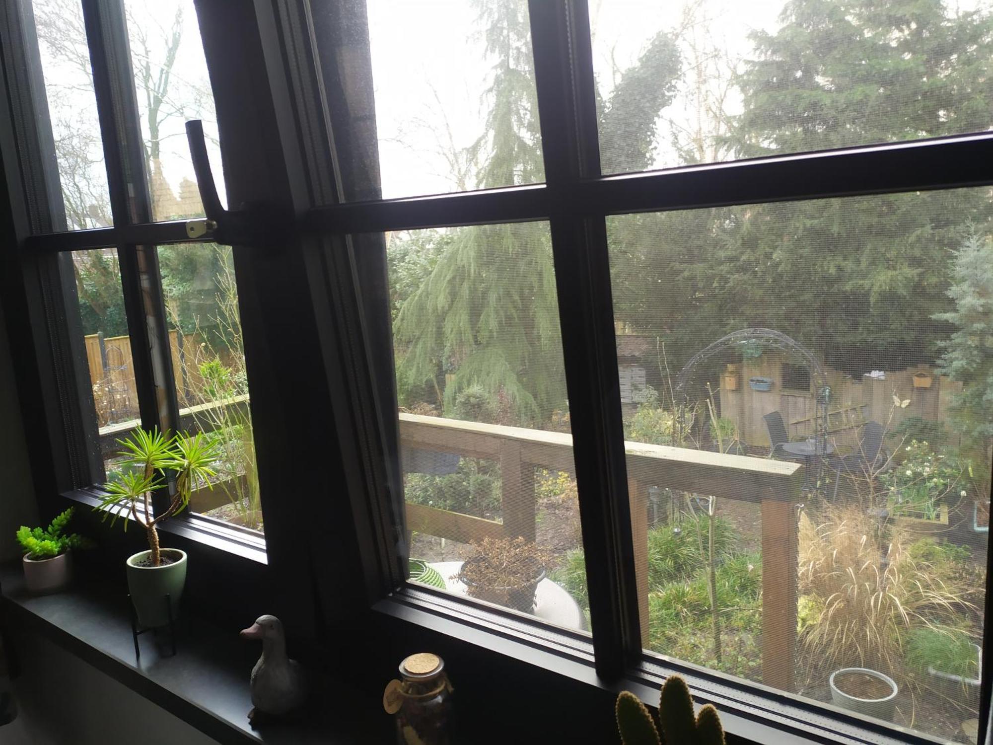 Bed And Breakfast Bianca Standdaarbuiten 外观 照片